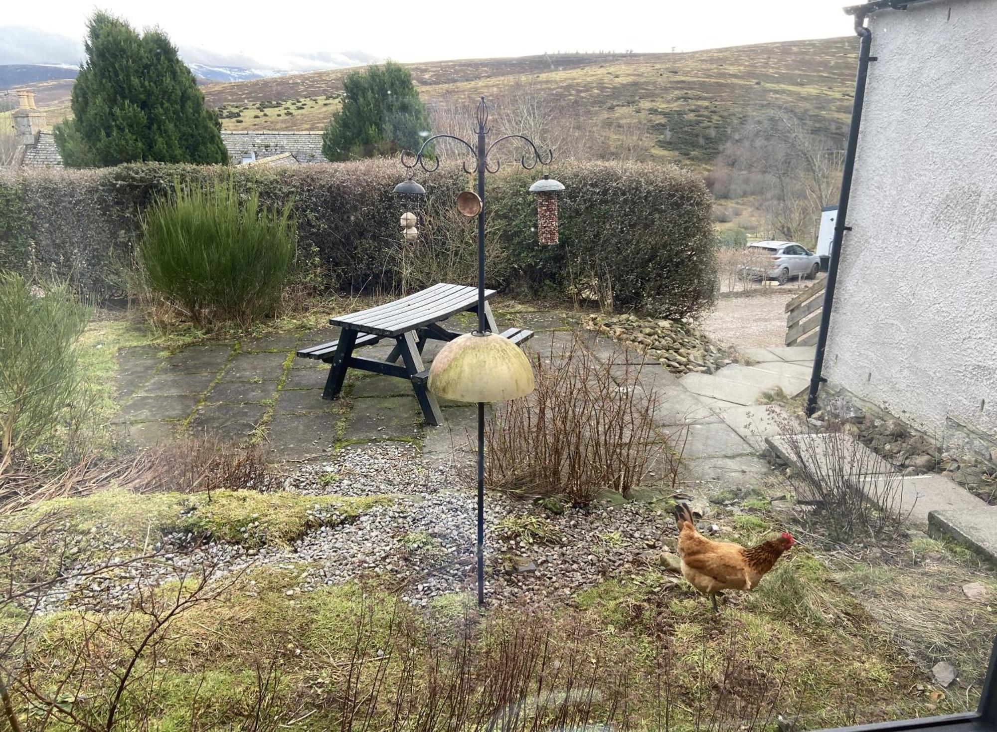 Easter Corrie Cottages Ballindalloch Exterior photo